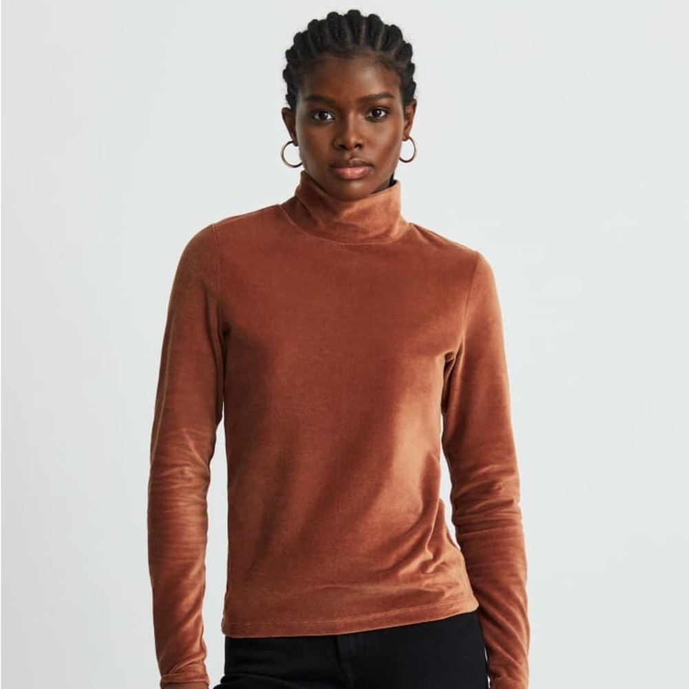 Everlane The Velour Turtleneck Top
